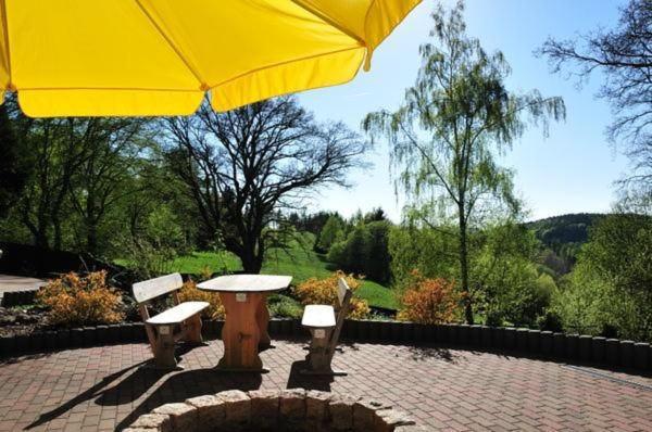 Wohnung In Hohegeiss Mit Grill Und Garten Braunlage Zewnętrze zdjęcie